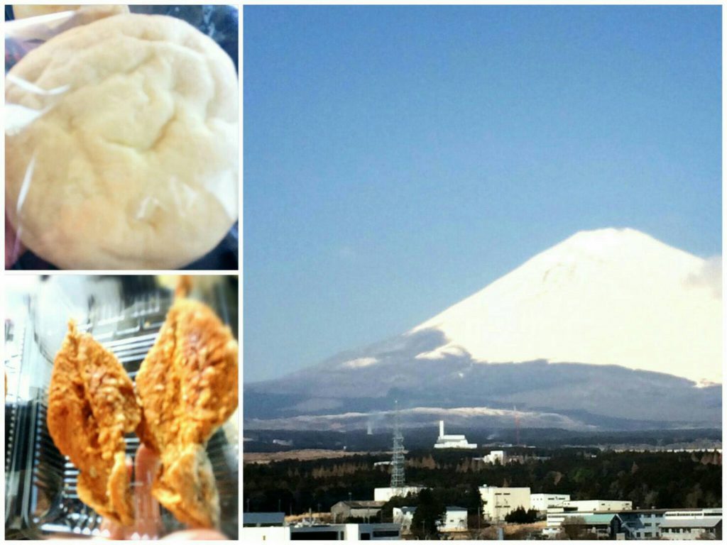 海老名の戦利品と富士山