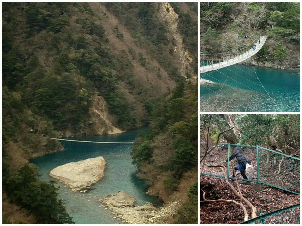 夢の吊り橋 ＆ 地獄の急階段(>_<)