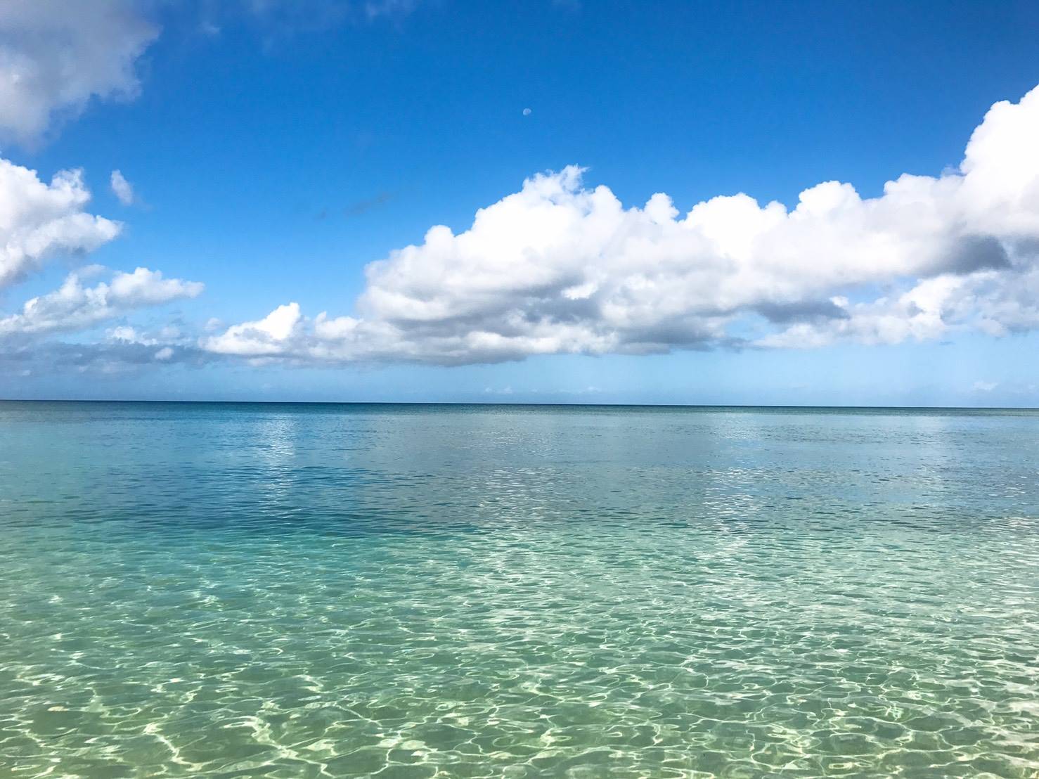 沖縄の海に感動