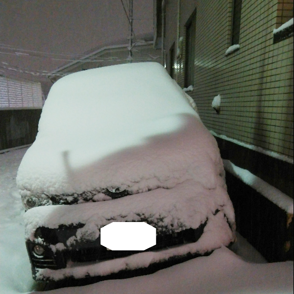 雪まみれ