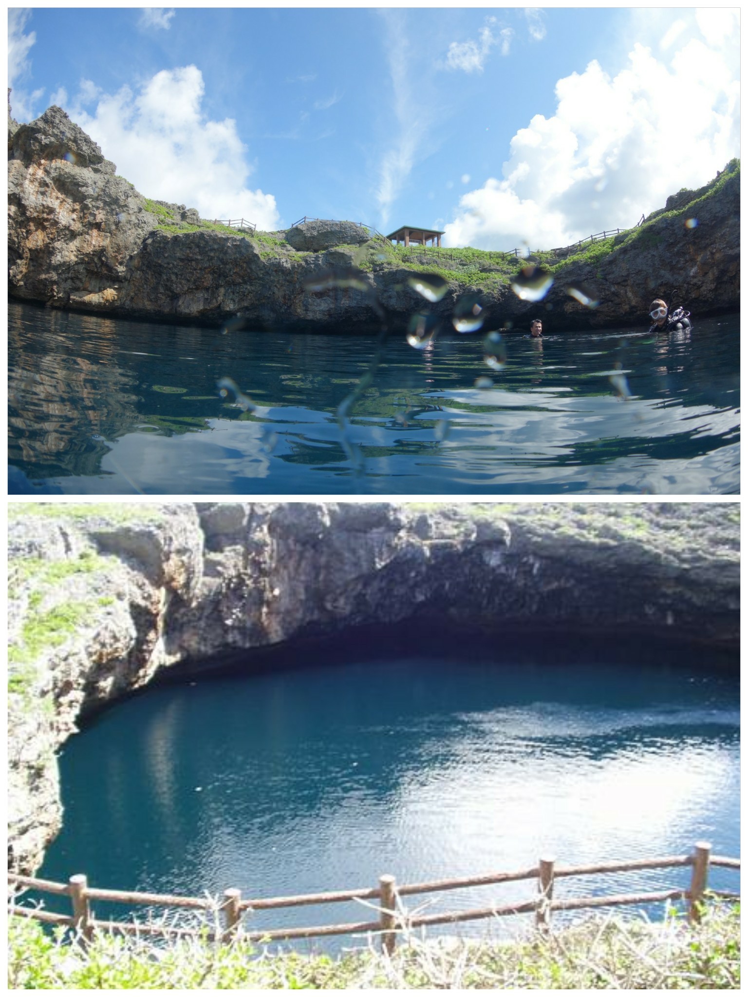 通り池_水面