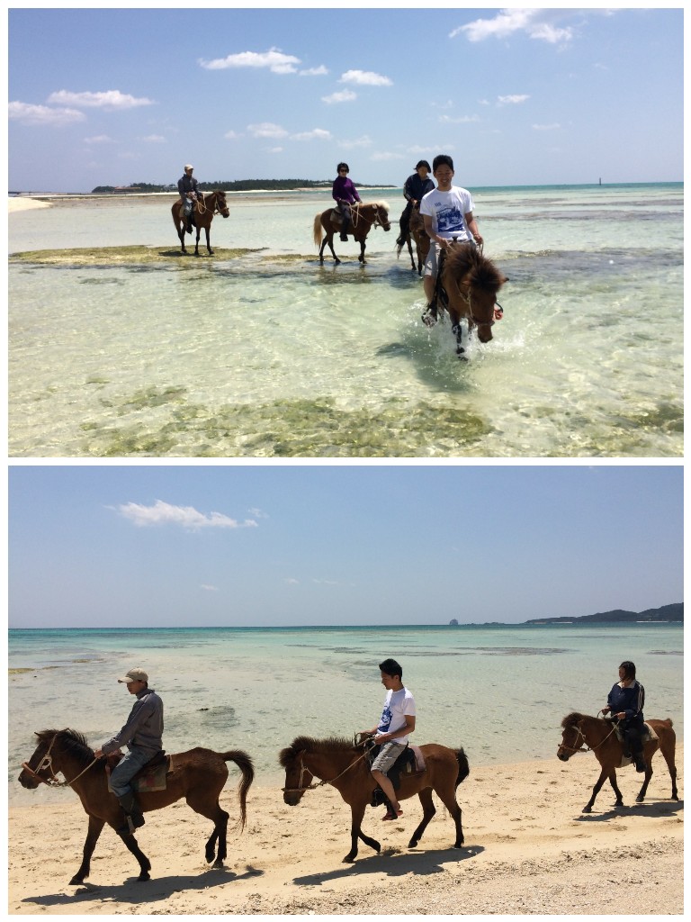 海で乗馬