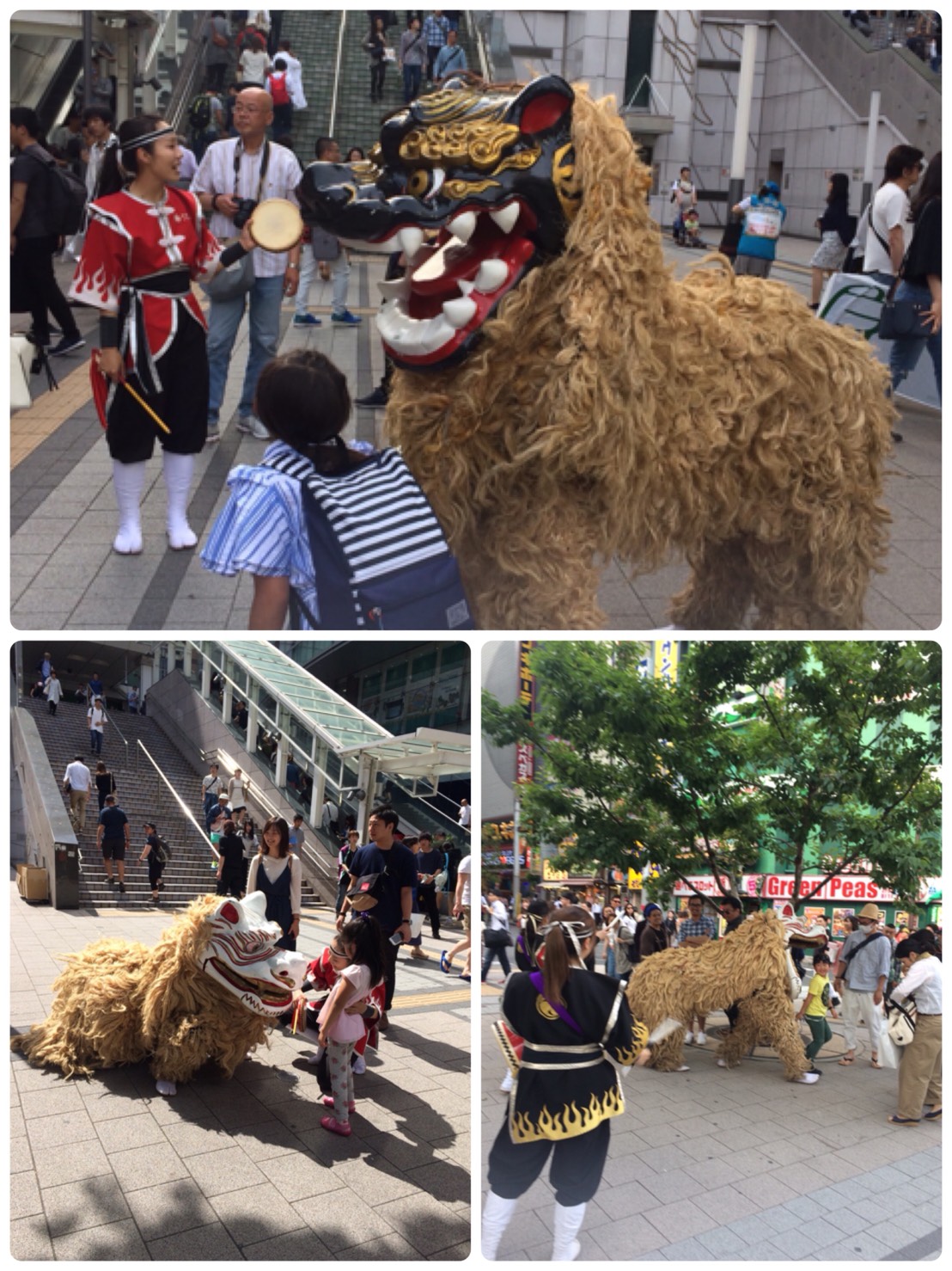 駅前で呼び込み！