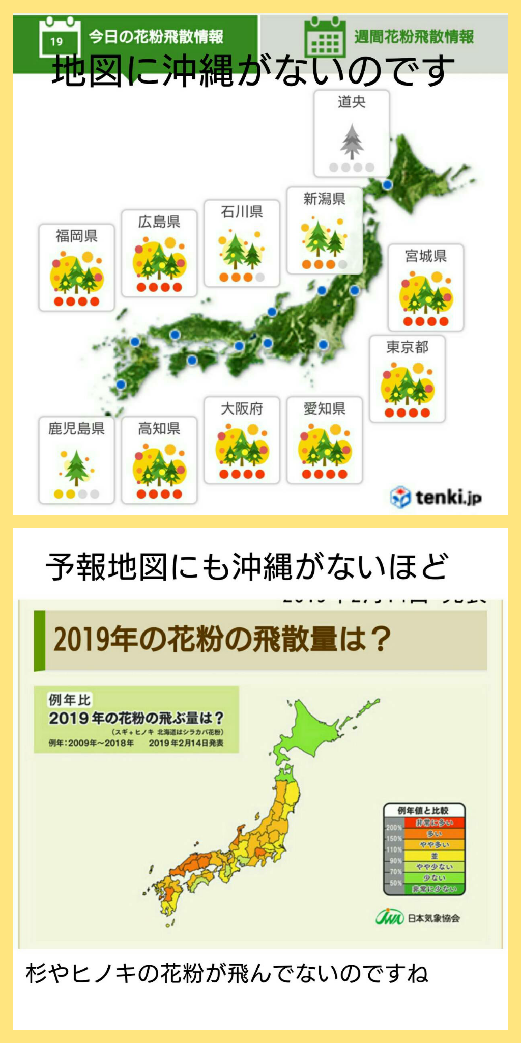 今日 ヒノキ 花粉