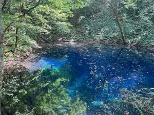 昇龍祭太鼓 エイサー 沖縄 東京 青森 観光 太鼓