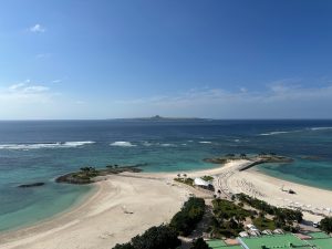 昇龍祭太鼓 沖縄 観光 エイサー 東京 美ら海水族館 ヤギ刺し