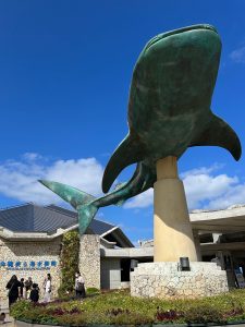 昇龍祭太鼓 沖縄 観光 エイサー 東京 美ら海水族館 ヤギ刺し