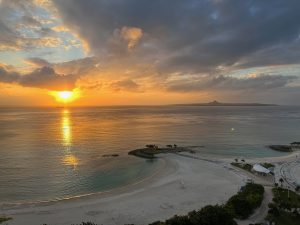 昇龍祭太鼓 沖縄 観光 エイサー 東京 美ら海水族館 ヤギ刺し