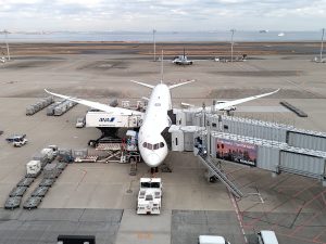 昇龍祭太鼓 創作エイサー 東京 沖縄 ホノルル フライングホヌ ハワイ 那覇 (1)