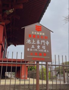 昇龍祭太鼓 創作エイサー 池上本門寺 五重塔 春まつり 出演 イベント 重要文化財