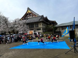 昇龍祭太鼓 創作エイサー 東京 池上本門寺 花まつり 春詣 春まつり お釈迦様 五重塔