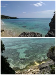 昇龍祭太鼓 創作エイサー 沖縄  東京 伊江島 美ら海