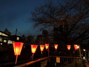 昇龍祭太鼓 創作エイサー 沖縄 東京 目黒川 桜 DOKODOKO 沖縄そば 3