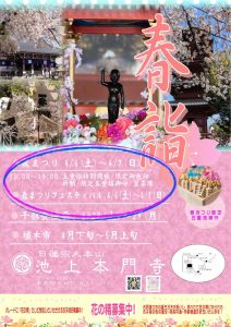 昇龍祭太鼓 創作エイサー 池上本門寺 五重塔 春まつり 出演 イベント 重要文化財