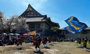 昇龍祭太鼓 創作エイサー 池上本門寺 五重塔 春まつり 出演 イベント 重要文化財